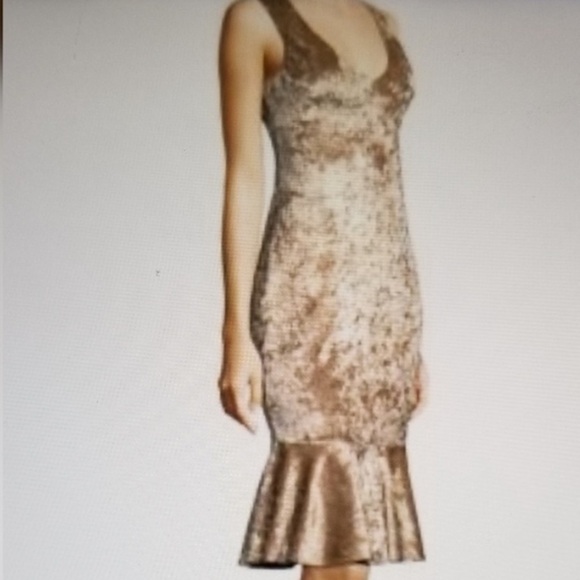 Likely Cypress Velvet Dress - Picture 1 of 10